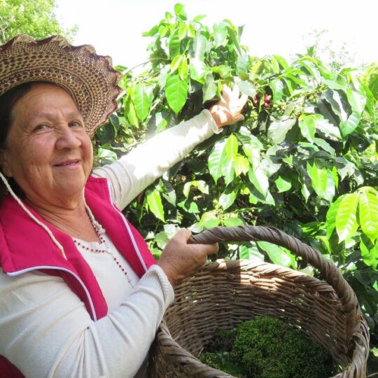 Koffieboerin Nohemy