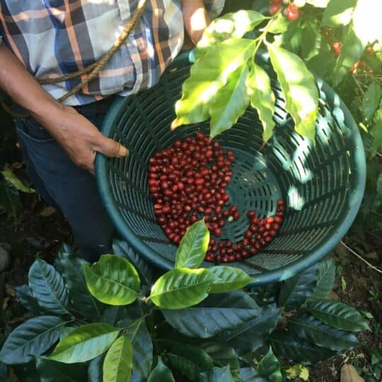Guatamala Huehuetenango
