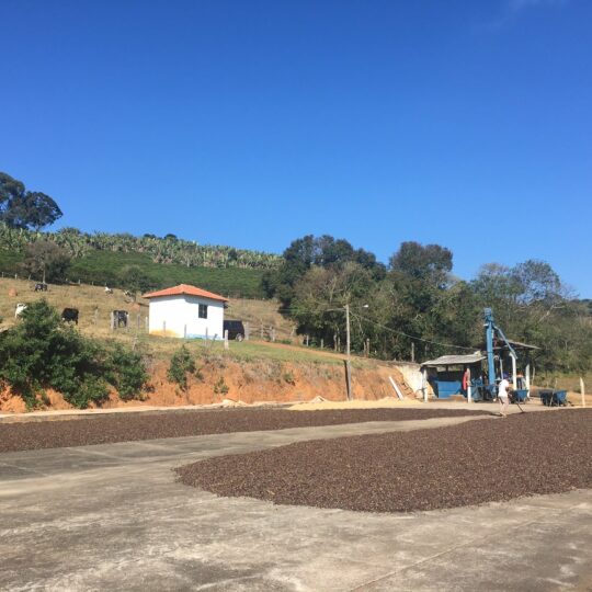Bota Fora