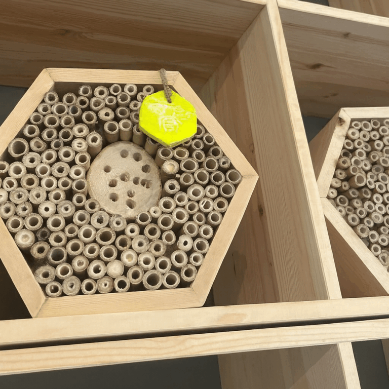 Bijenhotel insectenhotel Cavent de Punt