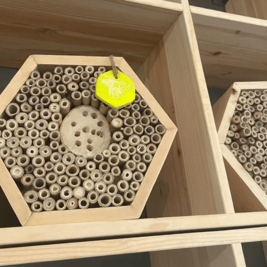 Bijenhotel insectenhotel Cavent de Punt