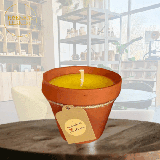 Citronella kaars Cavent