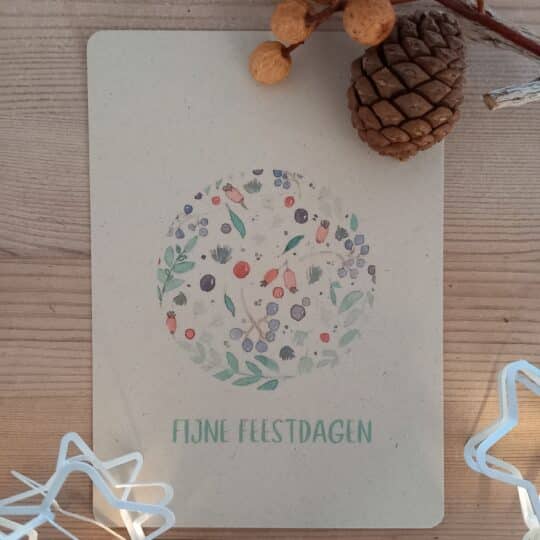 Sfeerfoto_fijnefeestdagen